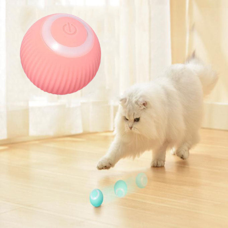 Paws and Claws™ Interactive Ball