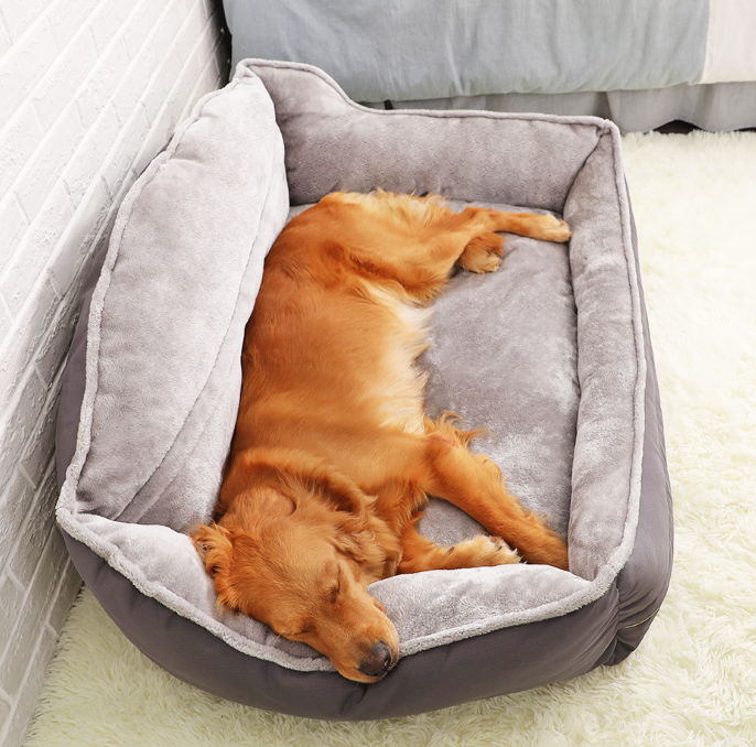 Paws and Claws™ Dog Bed: